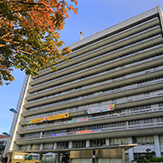 行政確認